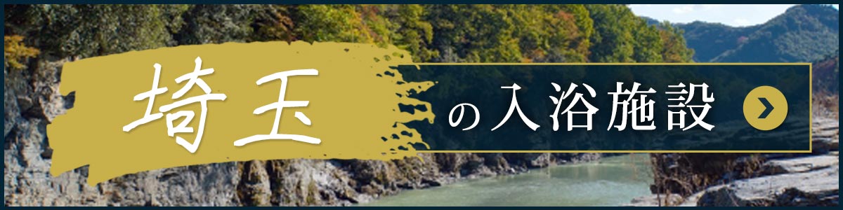 埼玉県の日帰り温泉入浴施設